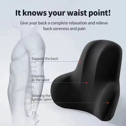 ErgoDrive Premium Memory Foam Lumbar Support
